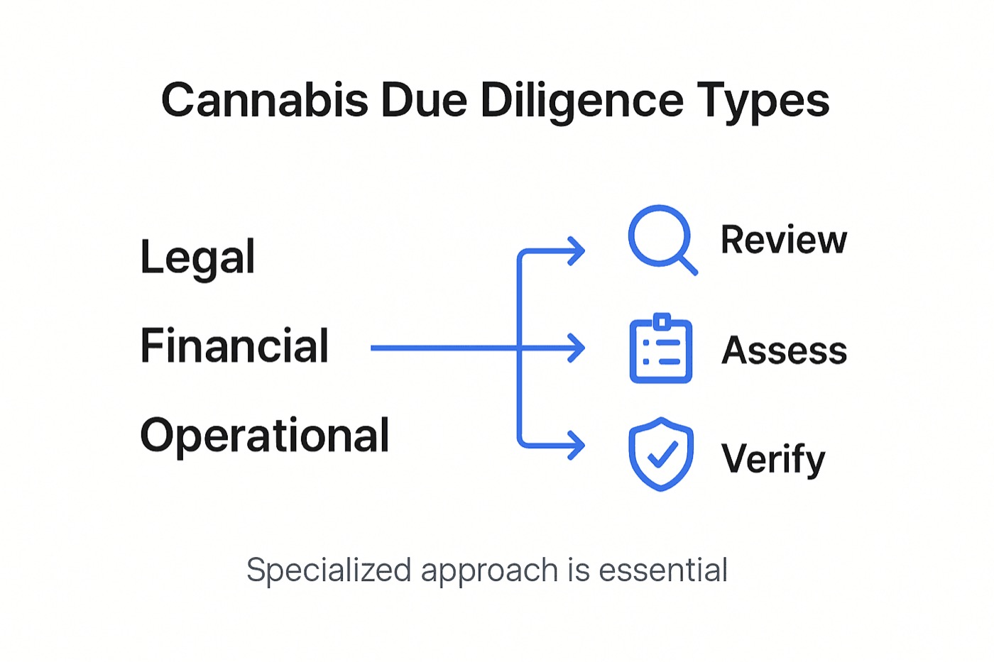 Infographic showing types of cannabis due diligence