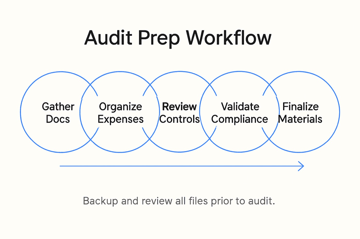 Infographic with audit preparation steps overview